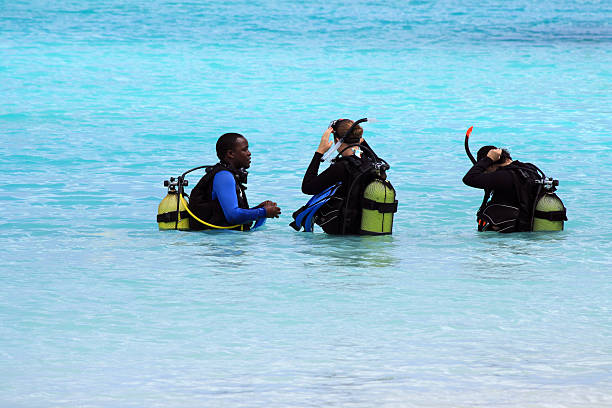 Zanzibar 4 Day Diving and Wildlife Tour  2026